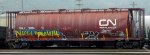 CNLX 10114